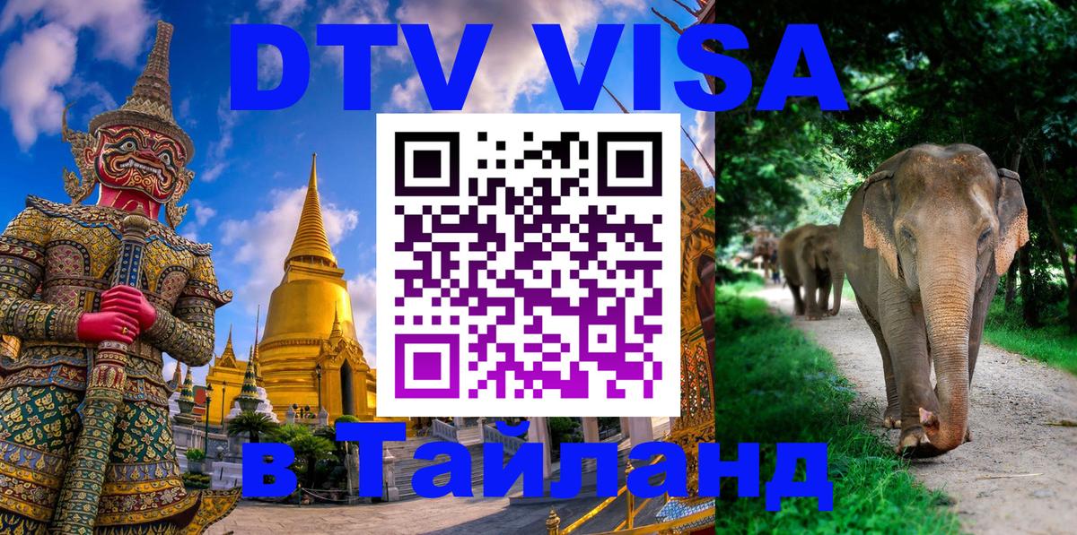 Оформление DTV визы под ключ: стоимость и тарифы, только загранпаспорт - 20.11.2025 